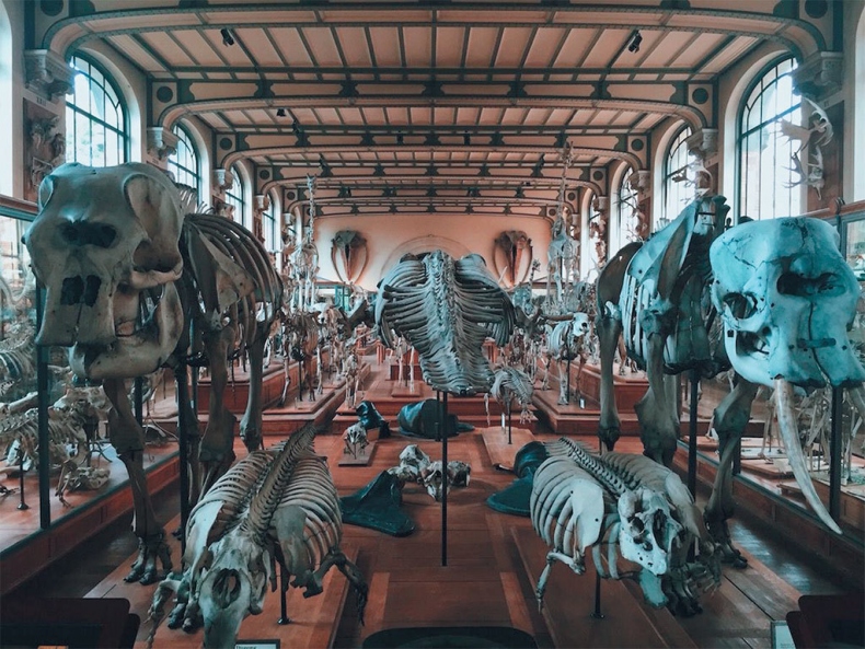 Иллюстрация к книге — Затерянный мир Дарвина. Тайная история жизни на Земле [i_033.jpg]