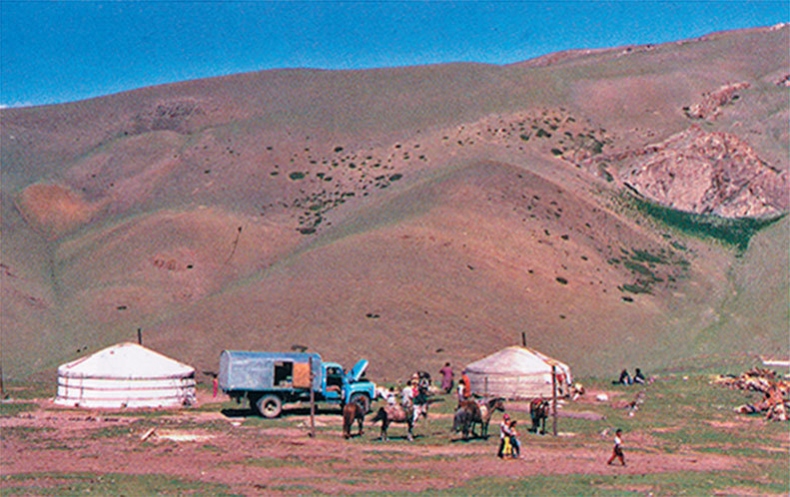 Иллюстрация к книге — Затерянный мир Дарвина. Тайная история жизни на Земле [i_036.jpg]