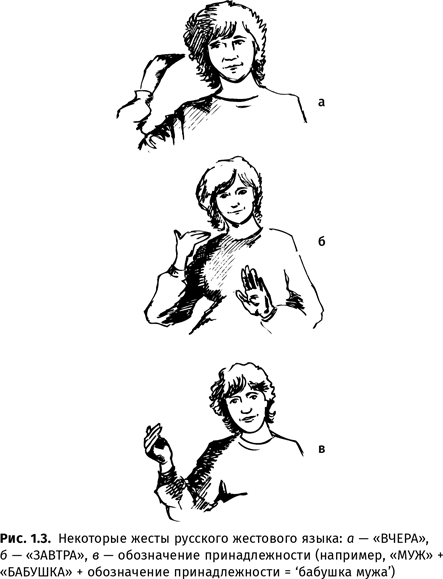 Иллюстрация к книге — Происхождение языка. Факты, исследования, гипотезы [i_006.jpg]