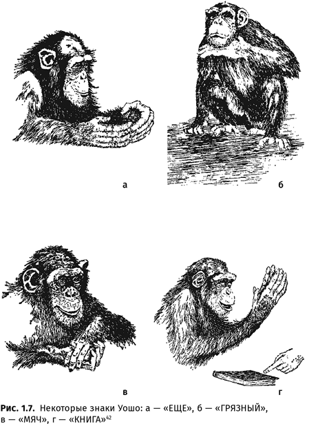 Иллюстрация к книге — Происхождение языка. Факты, исследования, гипотезы [i_012.jpg]