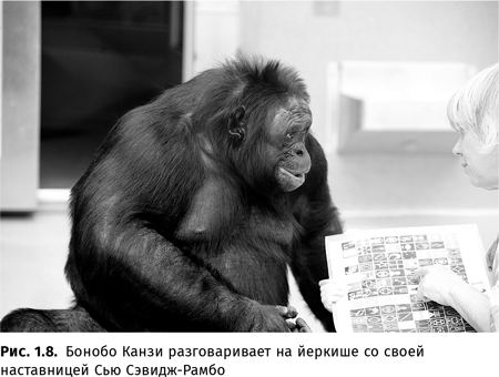 Иллюстрация к книге — Происхождение языка. Факты, исследования, гипотезы [i_013.jpg]