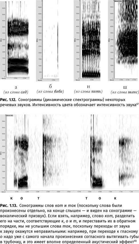 Иллюстрация к книге — Происхождение языка. Факты, исследования, гипотезы [i_018.jpg]