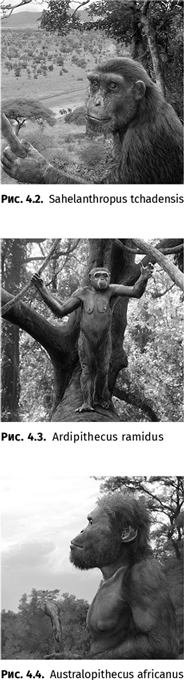 Иллюстрация к книге — Происхождение языка. Факты, исследования, гипотезы [i_047.jpg]