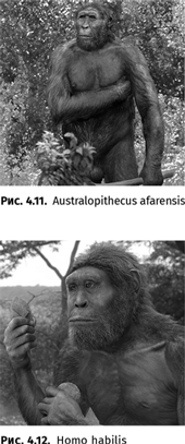 Иллюстрация к книге — Происхождение языка. Факты, исследования, гипотезы [i_050.jpg]