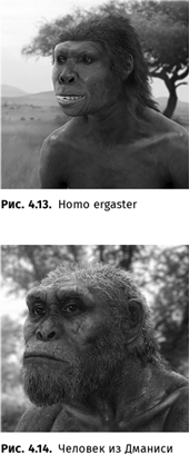 Иллюстрация к книге — Происхождение языка. Факты, исследования, гипотезы [i_051.jpg]