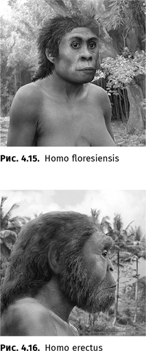 Иллюстрация к книге — Происхождение языка. Факты, исследования, гипотезы [i_052.jpg]