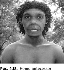 Иллюстрация к книге — Происхождение языка. Факты, исследования, гипотезы [i_054.jpg]