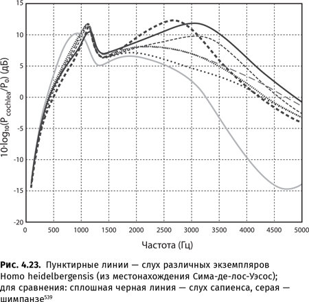 Иллюстрация к книге — Происхождение языка. Факты, исследования, гипотезы [i_058.jpg]