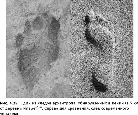 Иллюстрация к книге — Происхождение языка. Факты, исследования, гипотезы [i_060.jpg]