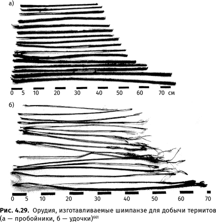 Иллюстрация к книге — Происхождение языка. Факты, исследования, гипотезы [i_064.jpg]