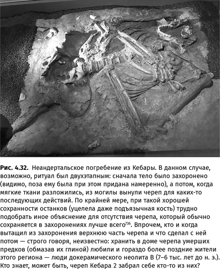 Иллюстрация к книге — Происхождение языка. Факты, исследования, гипотезы [i_067.jpg]