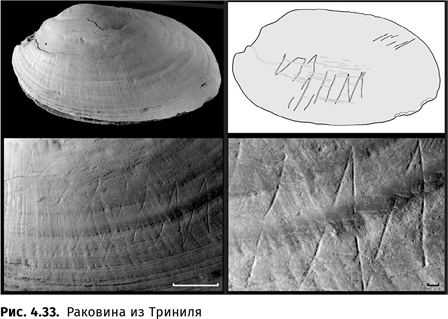 Иллюстрация к книге — Происхождение языка. Факты, исследования, гипотезы [i_068.jpg]