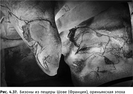 Иллюстрация к книге — Происхождение языка. Факты, исследования, гипотезы [i_072.jpg]