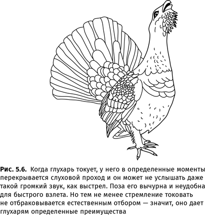 Иллюстрация к книге — Происхождение языка. Факты, исследования, гипотезы [i_080.jpg]