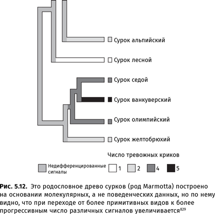 Иллюстрация к книге — Происхождение языка. Факты, исследования, гипотезы [i_086.jpg]