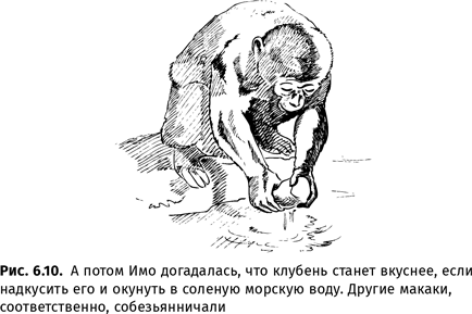 Иллюстрация к книге — Происхождение языка. Факты, исследования, гипотезы [i_103.jpg]