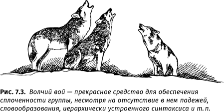 Иллюстрация к книге — Происхождение языка. Факты, исследования, гипотезы [i_107.jpg]