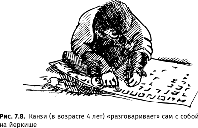 Иллюстрация к книге — Происхождение языка. Факты, исследования, гипотезы [i_112.jpg]