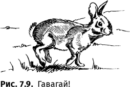 Иллюстрация к книге — Происхождение языка. Факты, исследования, гипотезы [i_113.jpg]