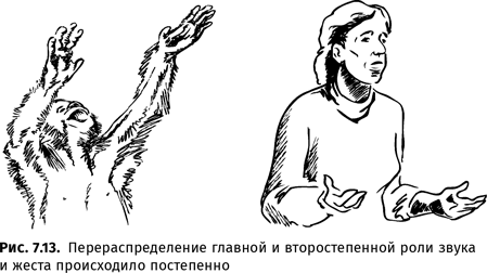 Иллюстрация к книге — Происхождение языка. Факты, исследования, гипотезы [i_116.jpg]