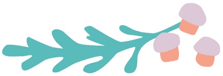 Иллюстрация к книге — С чистого лица. Техники ухода за кожей на все случаи жизни [i_009.jpg]