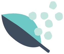 Иллюстрация к книге — С чистого лица. Техники ухода за кожей на все случаи жизни [i_016.jpg]