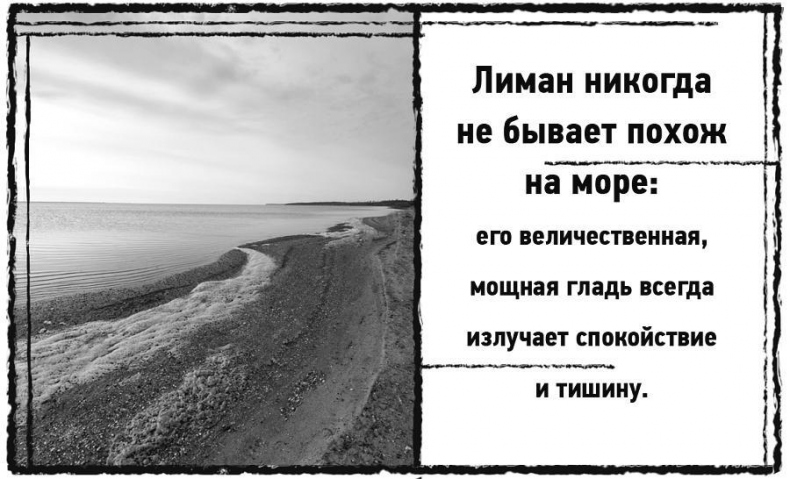 Иллюстрация к книге — Дневник призрака [i_008.jpg]