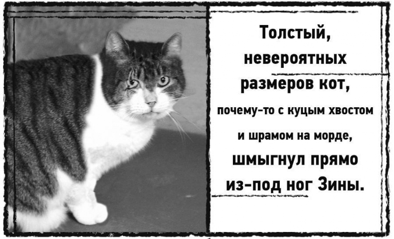 Иллюстрация к книге — Дневник призрака [i_010.jpg]