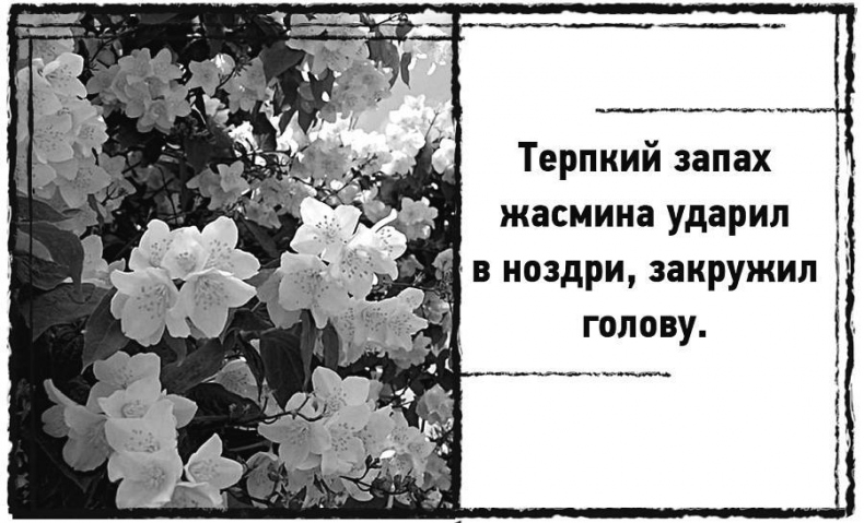 Иллюстрация к книге — Дневник призрака [i_019.jpg]