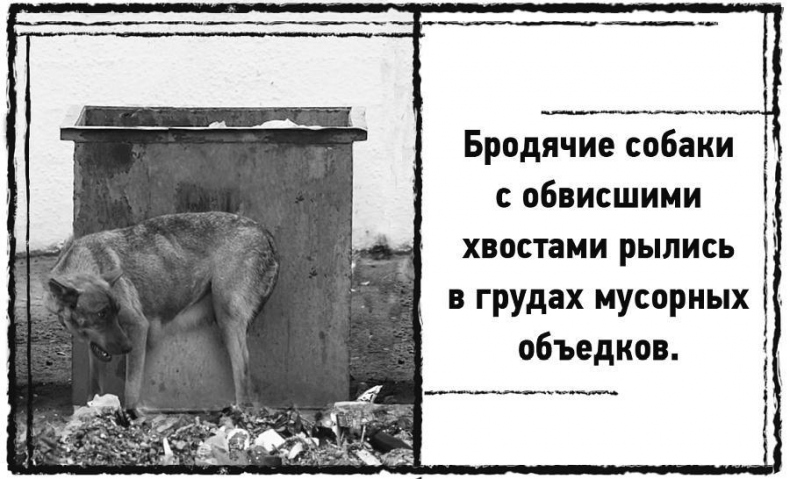 Иллюстрация к книге — Дневник призрака [i_020.jpg]