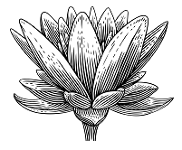 Иллюстрация к книге — Ваби-саби как альтернатива суете и хаосу [img_1.jpg]