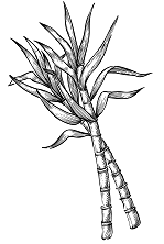 Иллюстрация к книге — Ваби-саби как альтернатива суете и хаосу [img_3.jpg]