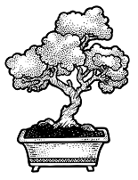 Иллюстрация к книге — Ваби-саби как альтернатива суете и хаосу [img_6.jpg]