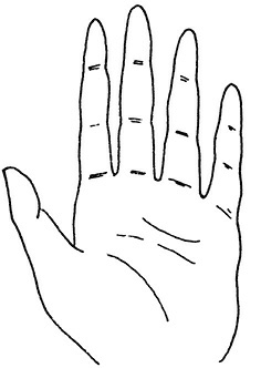 Иллюстрация к книге — Жизнь на ладони. Хиромантия как инструмент самопознания [i_002.jpg]