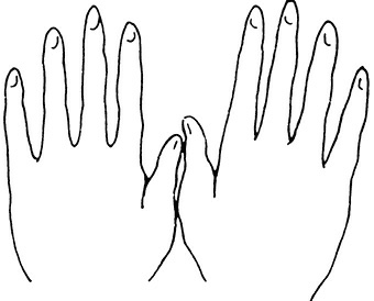 Иллюстрация к книге — Жизнь на ладони. Хиромантия как инструмент самопознания [i_004.jpg]