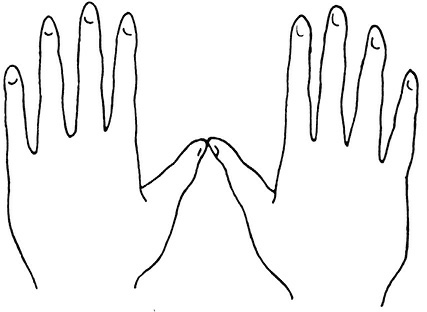 Иллюстрация к книге — Жизнь на ладони. Хиромантия как инструмент самопознания [i_005.jpg]