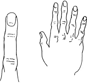 Иллюстрация к книге — Жизнь на ладони. Хиромантия как инструмент самопознания [i_010.jpg]