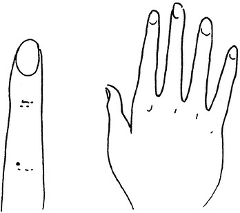 Иллюстрация к книге — Жизнь на ладони. Хиромантия как инструмент самопознания [i_011.jpg]