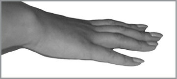 Иллюстрация к книге — Жизнь на ладони. Хиромантия как инструмент самопознания [i_013.jpg]