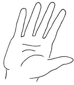 Иллюстрация к книге — Жизнь на ладони. Хиромантия как инструмент самопознания [i_025.jpg]