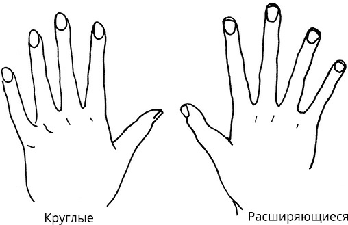 Иллюстрация к книге — Жизнь на ладони. Хиромантия как инструмент самопознания [i_029.jpg]