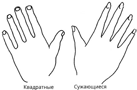 Иллюстрация к книге — Жизнь на ладони. Хиромантия как инструмент самопознания [i_030.jpg]