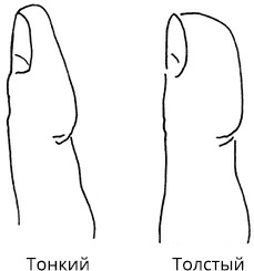 Иллюстрация к книге — Жизнь на ладони. Хиромантия как инструмент самопознания [i_038.jpg]