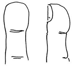 Иллюстрация к книге — Жизнь на ладони. Хиромантия как инструмент самопознания [i_040.jpg]