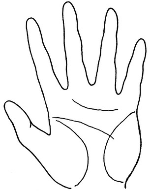 Иллюстрация к книге — Жизнь на ладони. Хиромантия как инструмент самопознания [i_047.jpg]