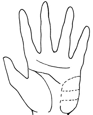 Иллюстрация к книге — Жизнь на ладони. Хиромантия как инструмент самопознания [i_048.jpg]