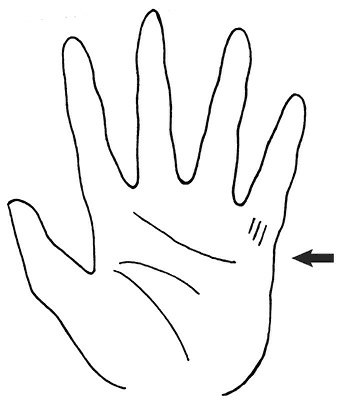 Иллюстрация к книге — Жизнь на ладони. Хиромантия как инструмент самопознания [i_054.jpg]