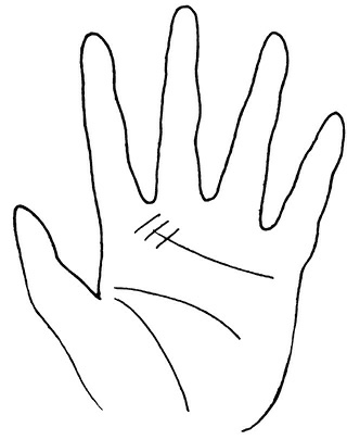 Иллюстрация к книге — Жизнь на ладони. Хиромантия как инструмент самопознания [i_055.jpg]