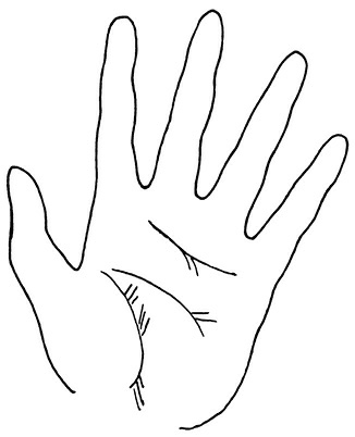 Иллюстрация к книге — Жизнь на ладони. Хиромантия как инструмент самопознания [i_066.jpg]