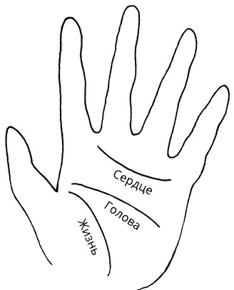 Иллюстрация к книге — Жизнь на ладони. Хиромантия как инструмент самопознания [i_067.jpg]
